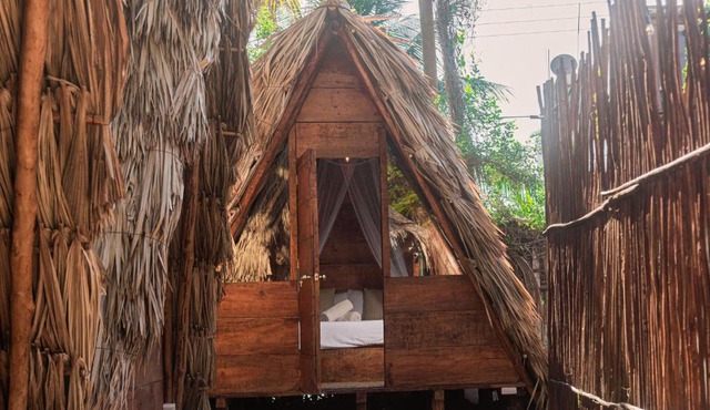 Mapache Hostel in Isla Holbox