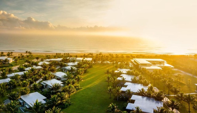 Mia Quy Nhon