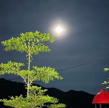 Moon House