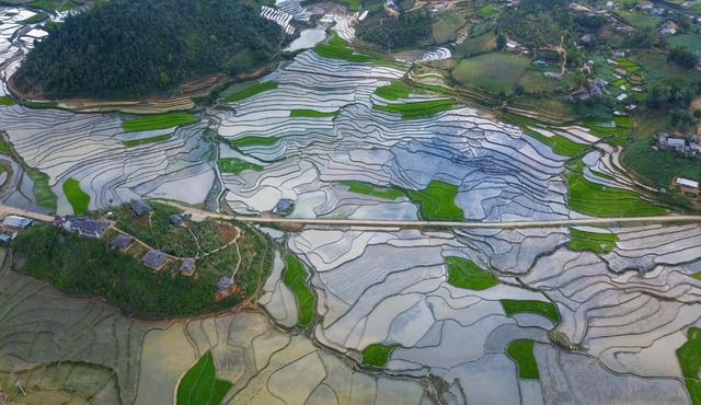 Mu Cang Chai Eco Lodge