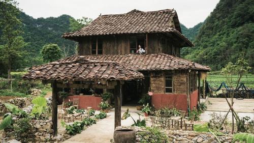 Nùng Indigo