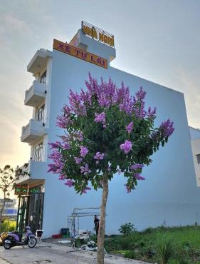Nhà nghỉ Thanh Thư 2 in Vi Thanh