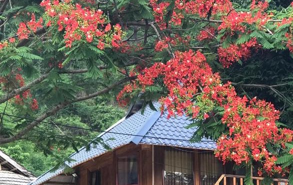 Nha Tan - Mai Chau Homestay & Tours