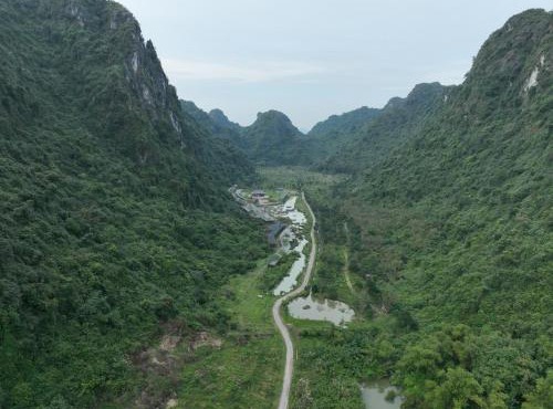 Ninh Binh Golden Camellia Park