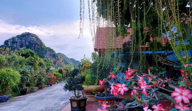 Ninh Binh Green Farmstay