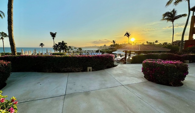 "Oceanfront Oasis: Luxury Condominiums & Hotel Resort by the Sea" in San José del Cabo