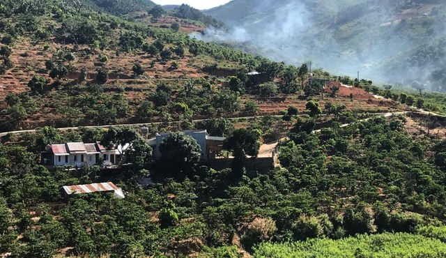OVi coffee farmstay Đà Lạt