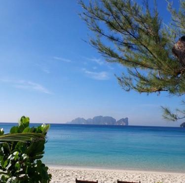 Paradise Pearl Bungalows