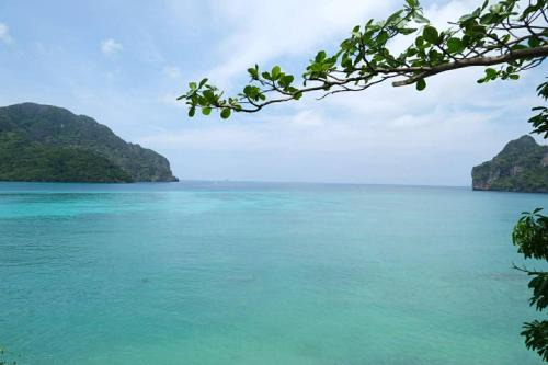 Phi Phi Oceanview Hill Bungalows