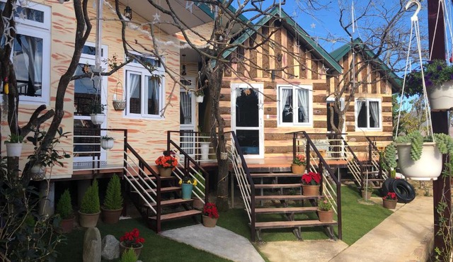 Pine Tree Homestay in Da Lat