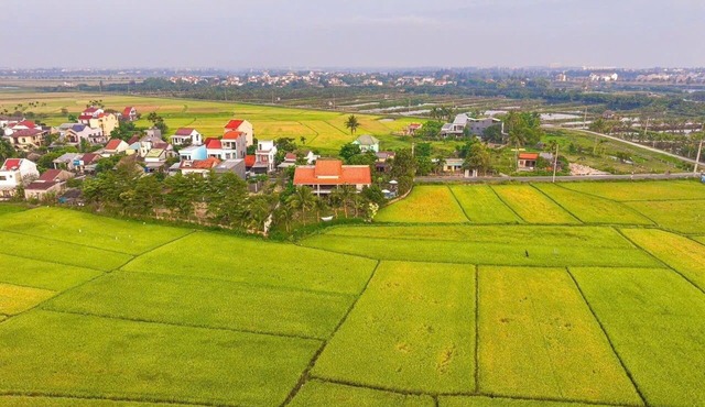 Private 5BRs Pool Villa- Rice field. Best Sunrise view- Famiy-friendly- Hoi An