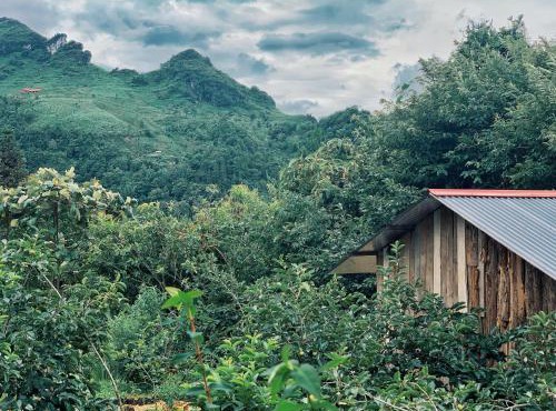 Private House in SaPa centre & Kitchen