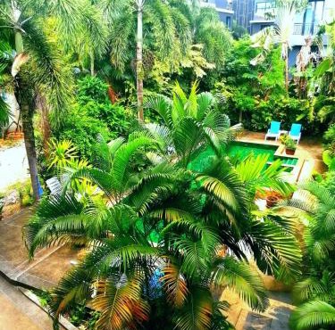 Relife apartments Большая квартира с панорамным видом на горы на Най Харне in Phuket