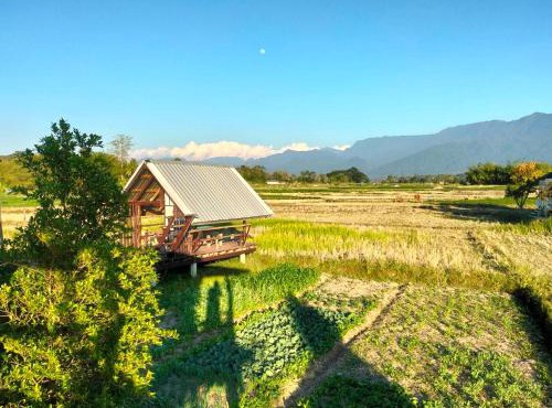 Ricefield Homestay มองนาภูคาน่านโฮมสเตย์