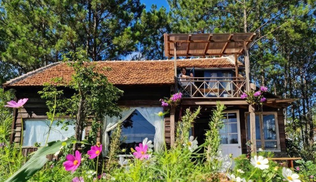 Romantic house on a pine hill Dalat