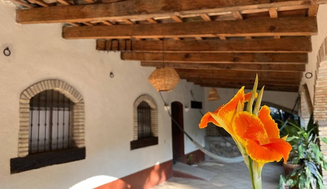 Rustic House in the Tehuacan-Cuicatlan Biosphere Reserve in Santa María Tecomavaca