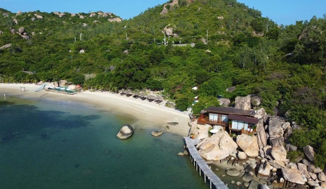 Sao Biển Cam Ranh - Starfish Cam Ranh