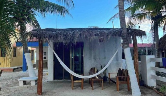 Seagull Loft Whose Beach in El Cuyo