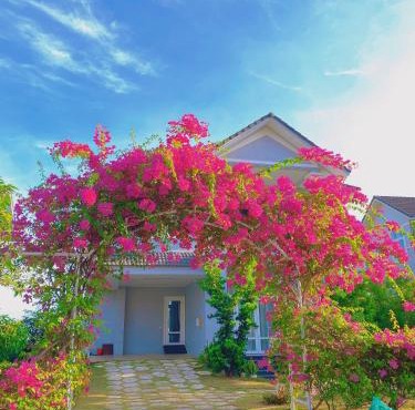 SEALINKS VILLA in Ấp Phú Tịnh (2)