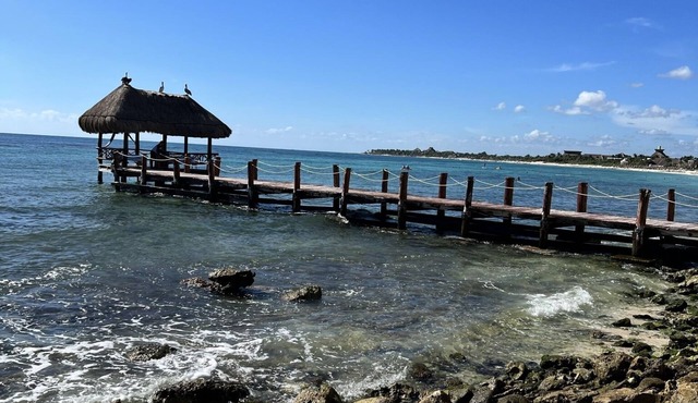 Secluded paradise! Brand new large studio condo with direct beach access. in Akimal caribe