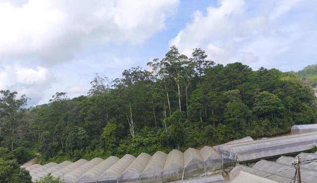 SON TAM Nhà Vườn Homestay in Da Lat