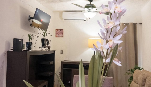 Spacious house, forum, acaya, home depot in Coatzacoalcos