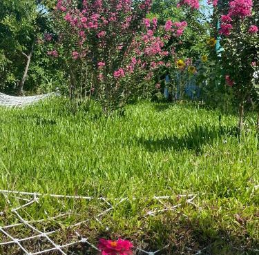 Suối Đá F-Glamping 2026