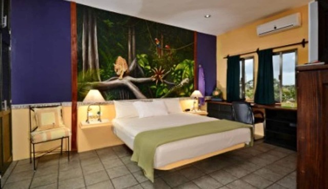 Summer Place Inn Full House in San Miguel Cozumel