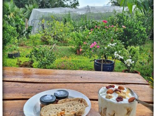 Summer Stations Homestay Binh Chau - Ho Coc Beach - Vung Tau