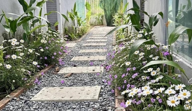 T Homestay Bình Minh Xanh
