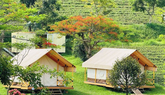 TAM CHAU FARM
