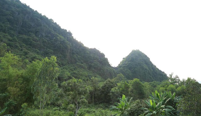 Tam's Homestay
