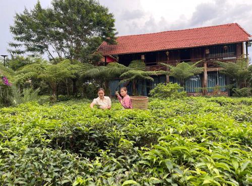 Tea Garden House