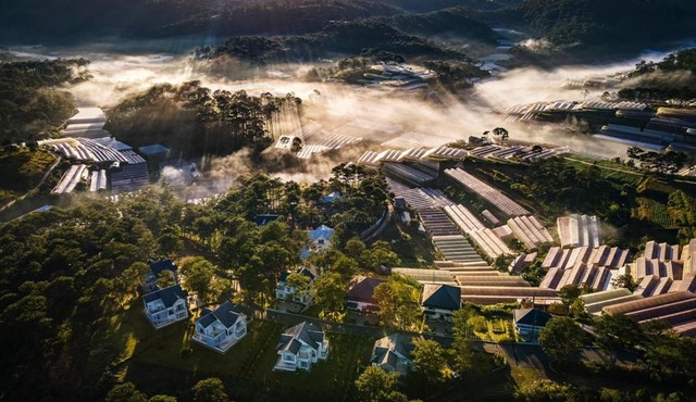 Tea Resort Dalat