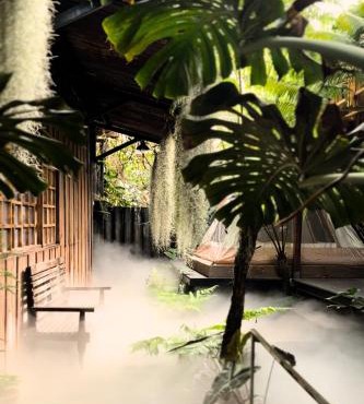 Thỏ Non Garden - Bảo Lộc Center 02
