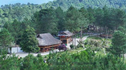Than Uyên Pineforest Homestay