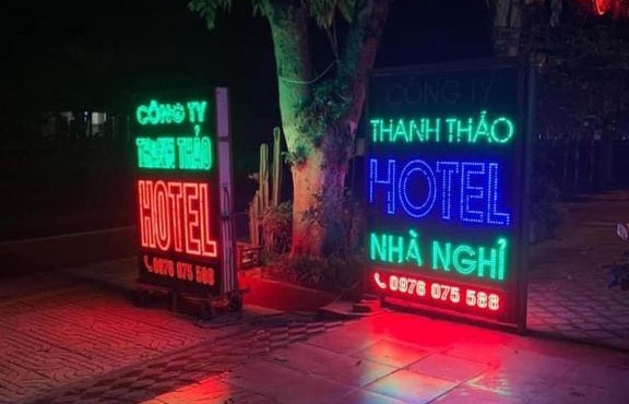 Thanh thảo