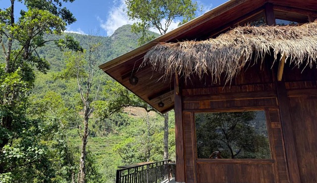 The Happy Bungalow In The Happy Forest!