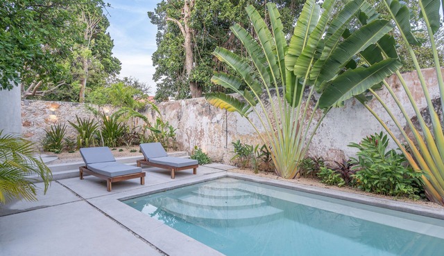 The Horseshoe - spacious pool & sunset roof terrace in Mérida
