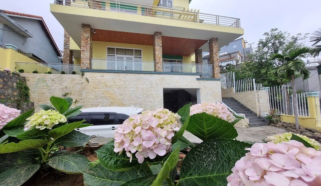 Top Hill Halong Homestay