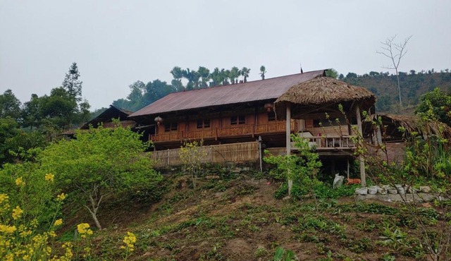 Trà Hills Homestay