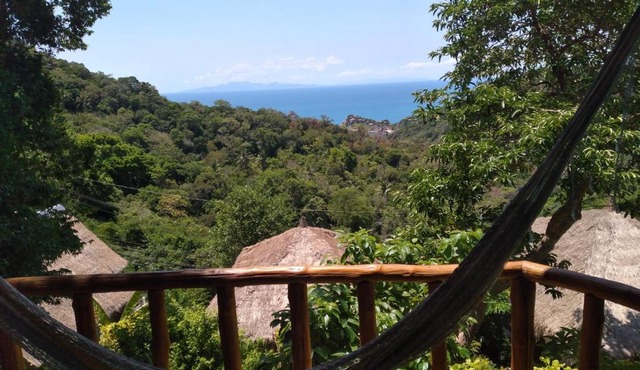 Tree House Bungalows Koh Tao in Ko Tao