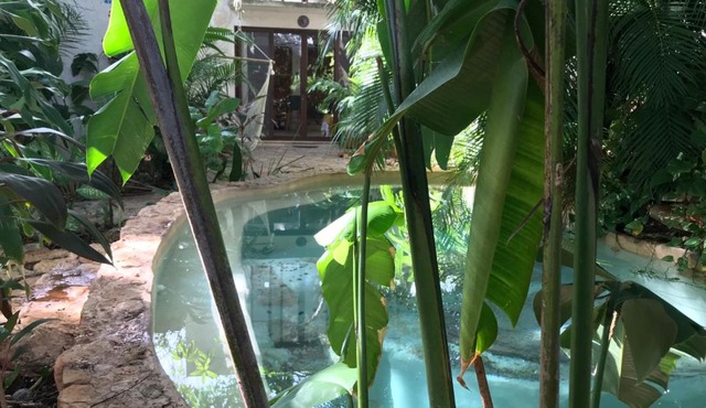 Tropical Cenote Loft North City 420 in Mérida