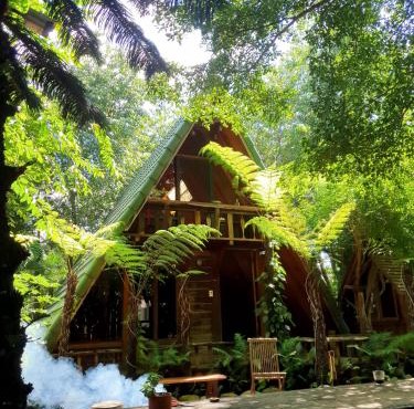tropical garden homestay