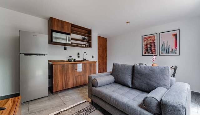 VH | Smart desing Apt | Sta Ma la Ribera | 128 in Ciudad de México