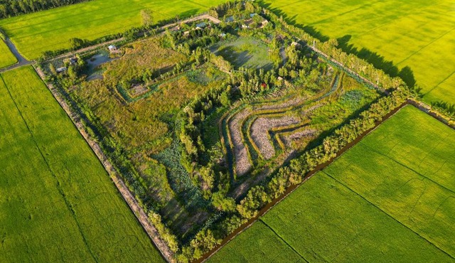 Việt Mekong Farmstay Tràm Chim in Tam Nong