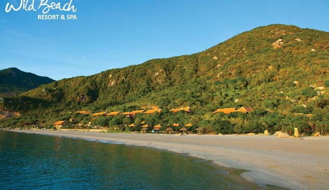 Wild Beach Boutique Resort