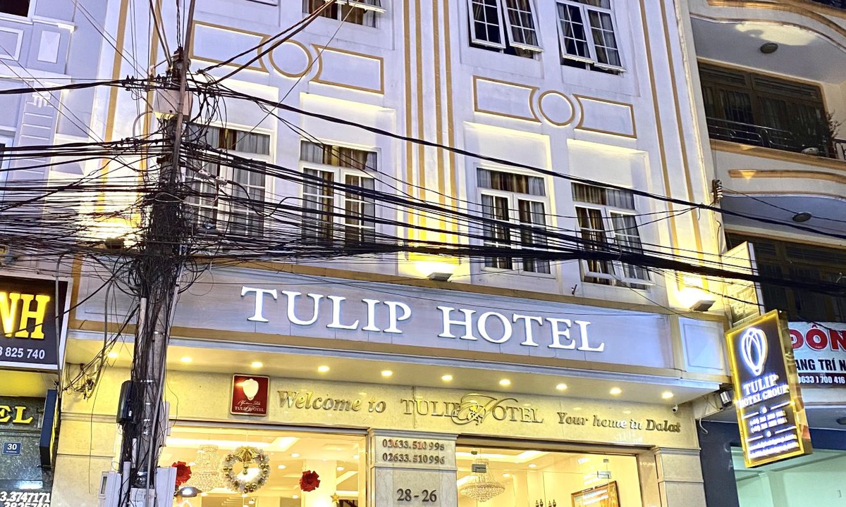 Da Lat Hotel | Tulip Hotel
