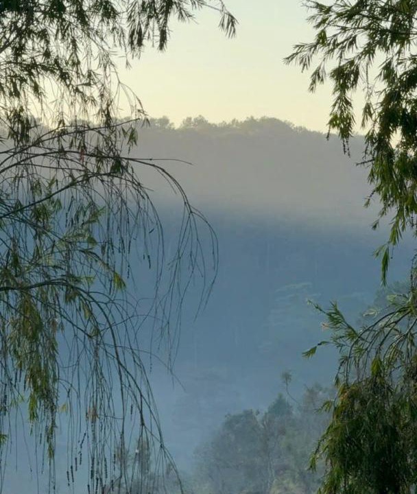 Da Lat Cabin | Family & Friends Homestay Đà Lạt