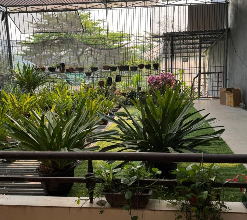 Hue City Centre House | The H Stay - Homestay Hue